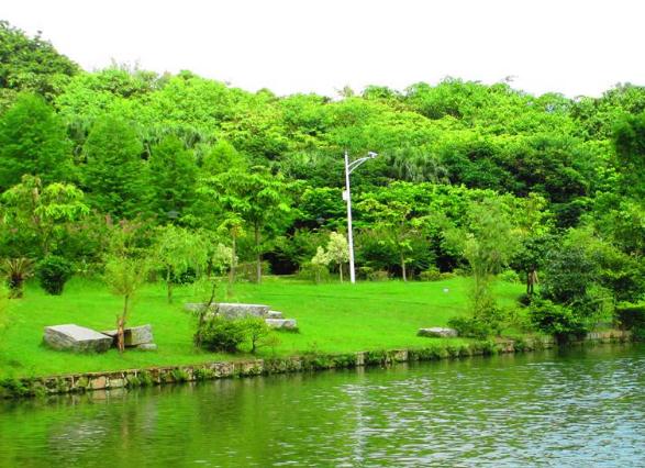 人工植被的應(yīng)用有什么樣的效果和作用呢？