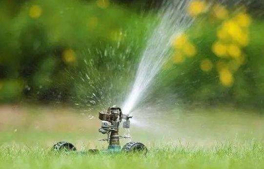 綠化苗木的灌溉與排水，應(yīng)該注意這8個(gè)方面！