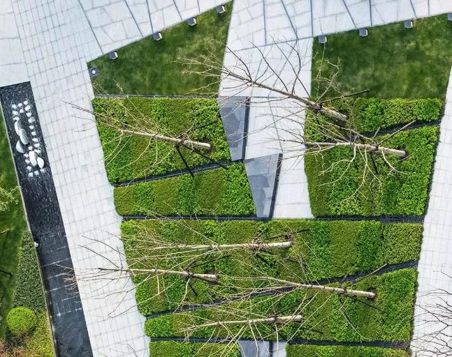 干貨滿滿，園林景觀設計專業(yè)必看！