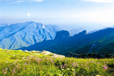  秦嶺國家公園設(shè)立后，會(huì)有啥不一樣？