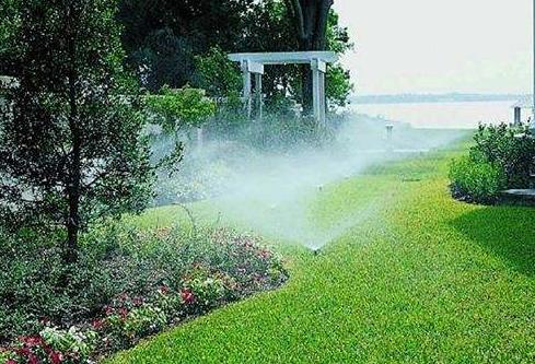 1月份園林養(yǎng)護，加強防凍與越冬害蟲防控是重點 