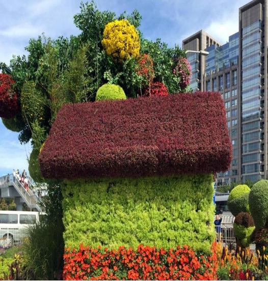 如何用五色草造高顏值花壇，湖北凱蒂園林告訴你技巧