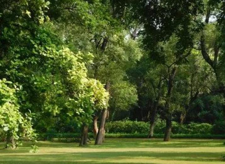 園林綠化養(yǎng)護(hù)那些事兒，你都知道嗎？