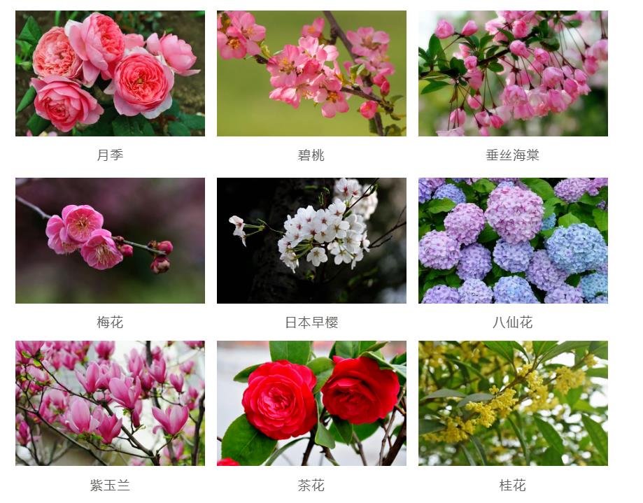 園林景觀工程如何節(jié)約成本？